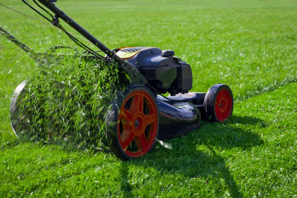 lawn mower houston tx