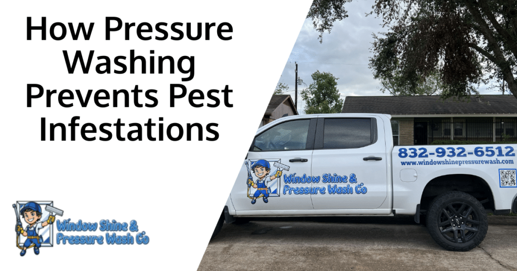 How Pressure Washing Prevents Pest Infestations