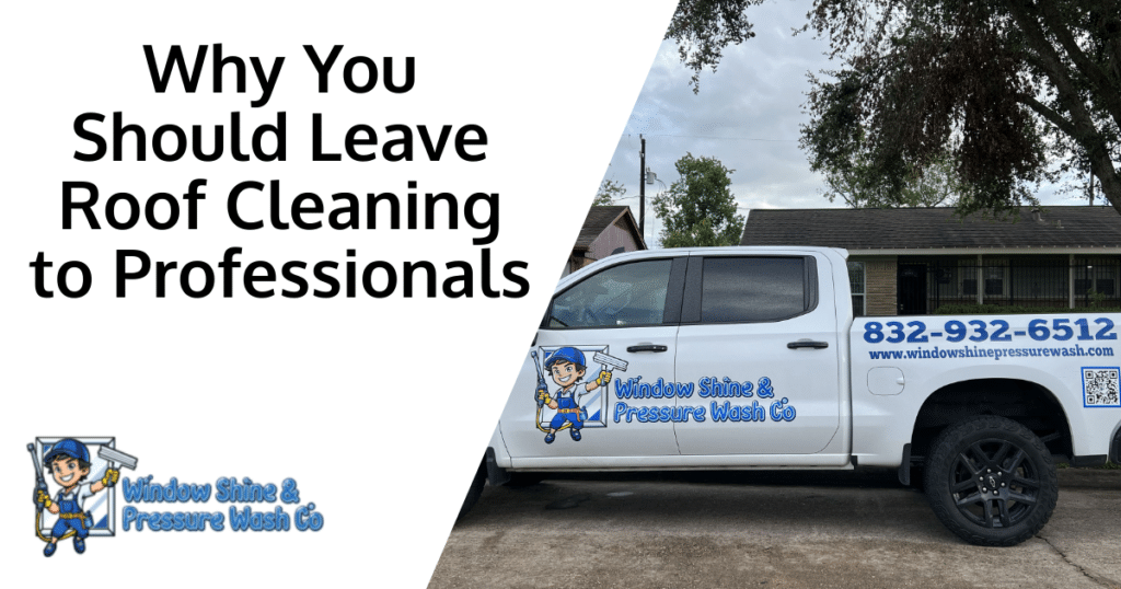 Why You Should Leave Roof Cleaning to Professionals