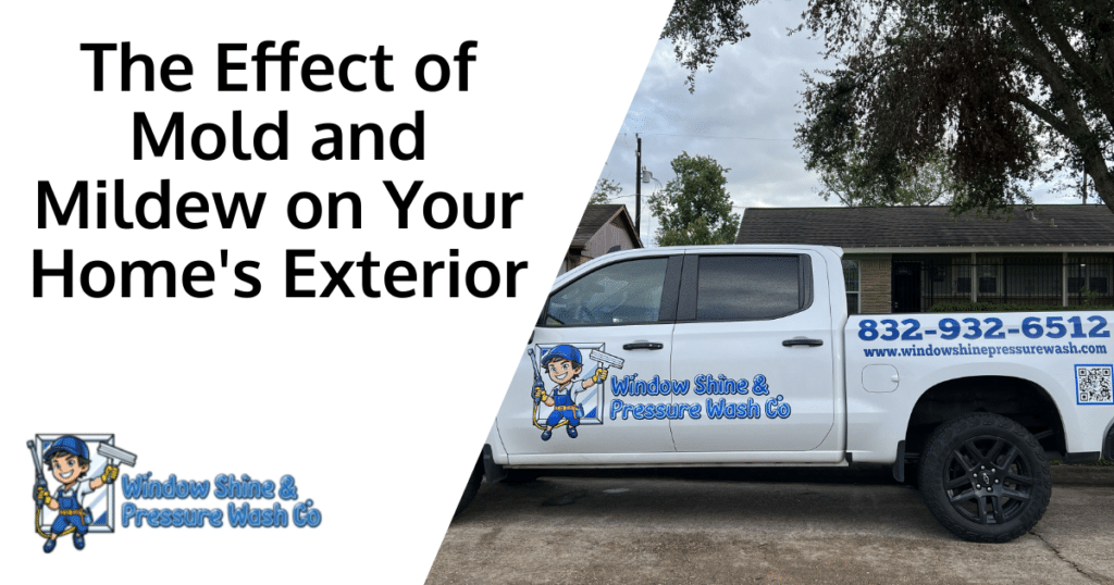 The Effect of Mold and Mildew on Your Home's Exterior